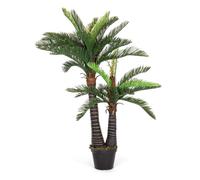Palmera C-Pot 36Hojas 2Tr H150