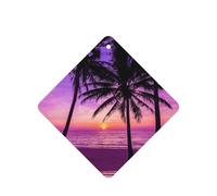 Palmeras al atardecer impresión 10 piezas ambientadores de coche tarjetas para hojas colgantes perfumadas para baño con cuerda