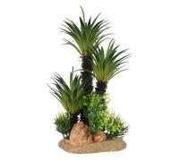 Palmeras decorativas para acuarios - EBI