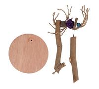 Palo de Pie para Loro, Percha Natural de Madera con Base Desmontable, Palo Seguro de Manzana para Loros, Stand de Entrenamiento con Cuerda de Cáñamo para Aves de Jaula, Accesorio d