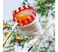 palo de recolección, Recolector de frutas con cesta, telescópico acero inoxidable, for albaricoques, peras y naranjas(2.5m)