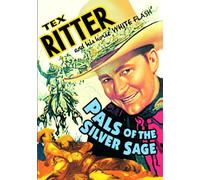 Pals of the Silver Sage [DVD] [1940] [Region 1] [NTSC] [Reino Unido]