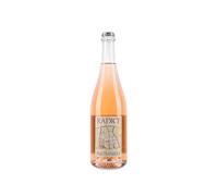 Paltrinieri Lambrusco di Sorbara Radice 2023