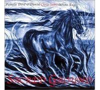 Pamela Dove O'Daniel - Sacred Ground