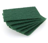 PAMEX Estropajo Fibra Abrasiva 15x10cm - Set 6 Unidades