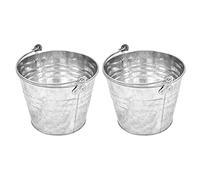 Pamex - Pack de 2 Cubos de Metal Galvanizados de 6 Litros, 24,5 x 19,1 cm, Con Mango de Metal para Limpieza, Jardinería, Hogar - Balde, Cubeta, Barreño Metalizado