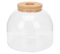 PAMINGONO Botellas de Vidrio para Micro Paisaje DIY Botella Ecológica con Tapón de Madera Recipiente Compacto y Decorativo para Plantas para Escritorio y Oficina