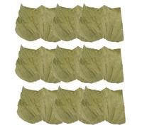 PAMINGONO Hojas de Loto Cuadradas para Emplatar Sushi 20x20 Cm, 100 Unidades, Revestimiento Decorativo para Servir Dim Sum y Envolver Alimentos, Ideales para Fiestas y Cocina Asiática