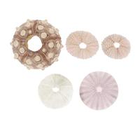 PAMINGONO Macetas Decorativas Concha de Erizo de Mar Natural Set de 5 para Plantas Aéreas Soporte Artesanal para Suculentas Decoración Creativa para Hogar y Oficina