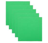PAMINGONO Paños de Limpieza Grandes de Microfibra Verde 30X30 CM para Guitarra Piano Violín Saxofón y Flauta Kit de 5 Unidades para Pulir y Cuidar Instrumentos Musicales