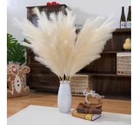 Pampas Grass Decor Tall,Pampas Grandes Florales esponjosas 8 Piezas 43"/110cm,Flores de Plumas largas para arreglo de Boda Boho Sala de Estar (8 Piezas 43"/110cm, Beige)