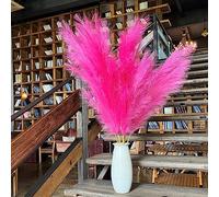 Pampas Grass Decor Tall,Pampas Grandes Florales esponjosas 8 Piezas 43"/110cm,Flores de Plumas largas para arreglo de Boda Boho Sala de Estar (8 Piezas 43"/110cm, Rosa Caliente)