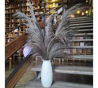 Pampas Grass Decor Tall,Pampas Grandes Florales esponjosas,Flores de Plumas largas para arreglo de Boda Boho Sala de Estar (8 Piezas de 31"/80cm, Gris)