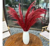 Pampas Grass Decor Tall,Pampas Grandes Florales esponjosas,Flores de Plumas largas para arreglo de Boda Boho Sala de Estar (8 Piezas de 31"/80cm, Rojo Burdeos)