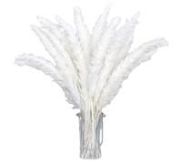 Pampas Secas Decoracion,Pampas Secas Grass Naturales 30 Piezas Pampas Secas Decoracion Grande for Weddings,Home,Living Room,Jarrones Decorativos,Boho Decor (Blanco)