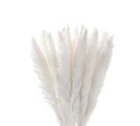 Pampas Secas Decoracion Ramo de Flores Boda Hierba Pampa esponjosa for decoración jarrones, Planta pompas secas, for el hogar, Sala Estar, Fiesta, Navidad(45-50cm-01,10pcs)
