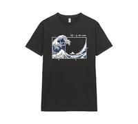 Pampling Camiseta de Manga Corta, 100% Algodón, Ropa Unisex para Hombre y Mujer, Serigrafiada con Cuello Redondo y Corte Recto, Color Gris (The Great Fibonacci Wave, L)