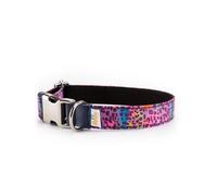 Pamppy funny collar leopardo rosa para perros