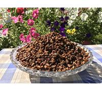 Pan de Abeja, Perga, Polen de Abeja Fermentado, Crudo y Natural, Sin Conservantes, Sin Ingeniería Genética, Apto Para Vegetarianos, 1Kg, Cosecha 2021