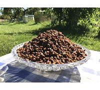 Pan de Abeja, Perga, Polen de Abeja Fermentado, Crudo y Natural, Sin Conservantes, Sin Ingeniería Genética, Apto Para Vegetarianos, 500g., Cosecha 2021