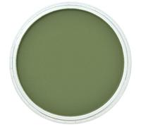 Pan pastel chrome oxide green shade 26603 (japan import)
