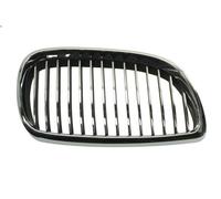 Panal de radiado BLIC 6502-07-00629916P para BMW 3 (E90) 3 2006-2011