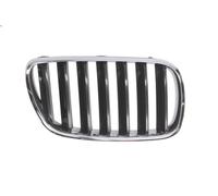 Panal de radiado BLIC 6502-07-00939920P para BMW X3 (E83) 2 2005-2008