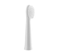 Panasonic Wew0972W503 - Recambio Cabezal Cepillo de Dientes, Modelo Ew-Dm81, Color Blanco