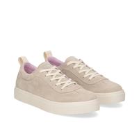 Panchic P08W001 - Zapatillas de ante Fog, Gris Taupe, 37 EU