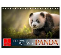 Panda - die Stimme der Wildnis (Tischkalender 2026 DIN A5 quer), CALVENDO Monatskalender: Auf den Spuren des Bambusbären.