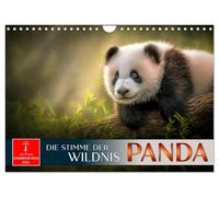 Panda - die Stimme der Wildnis (Wandkalender 2026 DIN A4 quer), CALVENDO Monatskalender: Auf den Spuren des Bambusbären.
