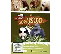 Panda, Gorilla & Co. - Folgen 53-56 [Alemania] [DVD]