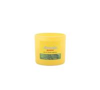 Panda Home Velas Perfumadas Con Vaso de Cristal,Larga Durancíon. Cada Vaso Contiene 90g .Pack 6 de CITRONELA