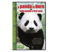 Panda Is Born/Baby Panda S Fir - Panda Is Born & Baby Panda's First Year [USA] [DVD]