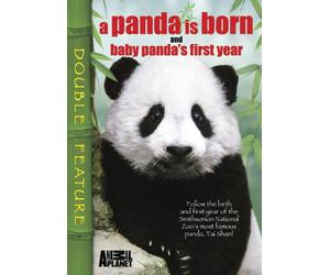Panda Is Born & Baby Panda's First Year [Reino Unido] [DVD]