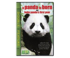 Panda Is Born & Baby Panda's First Year [USA] [DVD]