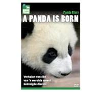 Panda Is Born [DVD de Audio]