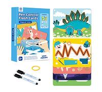 Panda Juniors Pen Control - Tarjetas flash de borrado en seco para niños de 3 a 5 años, tarjeta de práctica de trazado de escritura y limpieza para jardín de infantes (30 tarjetas con anillo y 2