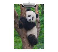 Panda on the Tree Portapapeles de tamaño A4, divertido, estético, trabajo, estudio, carta, tablero de clip estándar, 12,5 × 8,5 pulgadas, tablero duro para la escuela, aula, niños, escritura, dibujo