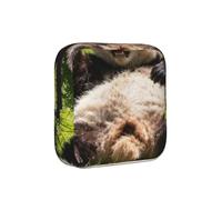 Panda Roll Grass - Bolsa de almacenamiento a prueba de períodos, funda de viaje de higiene femenina para toallas sanitarias, bolsa mensural discreta para bolso de oficina