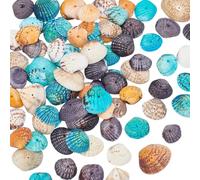 PandaHall 85 piezas conchas de conchas en espiral colgantes Encantos con agujeros para manualidades, decoración del hogar, fiesta en la playa, pecera y rellenos de jarrones (color mezclado)