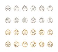 PandaHall - Colgantes redondos planos con signo del zodiaco doce constelaciones, Acero inoxidable, Acero inoxidable.