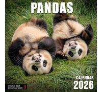 Pandas Calendar 2026: A year full of tumbling cubs and slow-moving charm