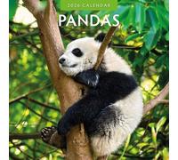 Pandas - Calendario de pared cuadrado 2026 Red Robin Publishing