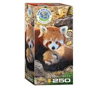 Eurographics EG82515557 Puzzle 250 Pc-Red Pandas, Varios