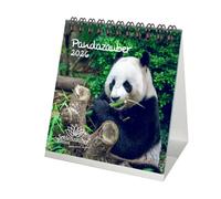 Pandazauber Calendario de mesa 10 cm x 10 cm para 2026 Panda - Seelenzauber