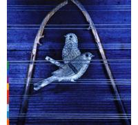 Pandit Shiv Kumar Sharma - Sampradaya