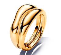 Pandora Anillo Combinable Forma Orgánica 163264C00 54
