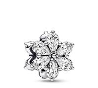 PANDORA Charm Timeless 792623C01 racimo herbario