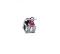 PANDORA Charm Moments 793603C01 caja regalo